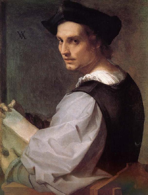 Man portrait, Andrea del Sarto